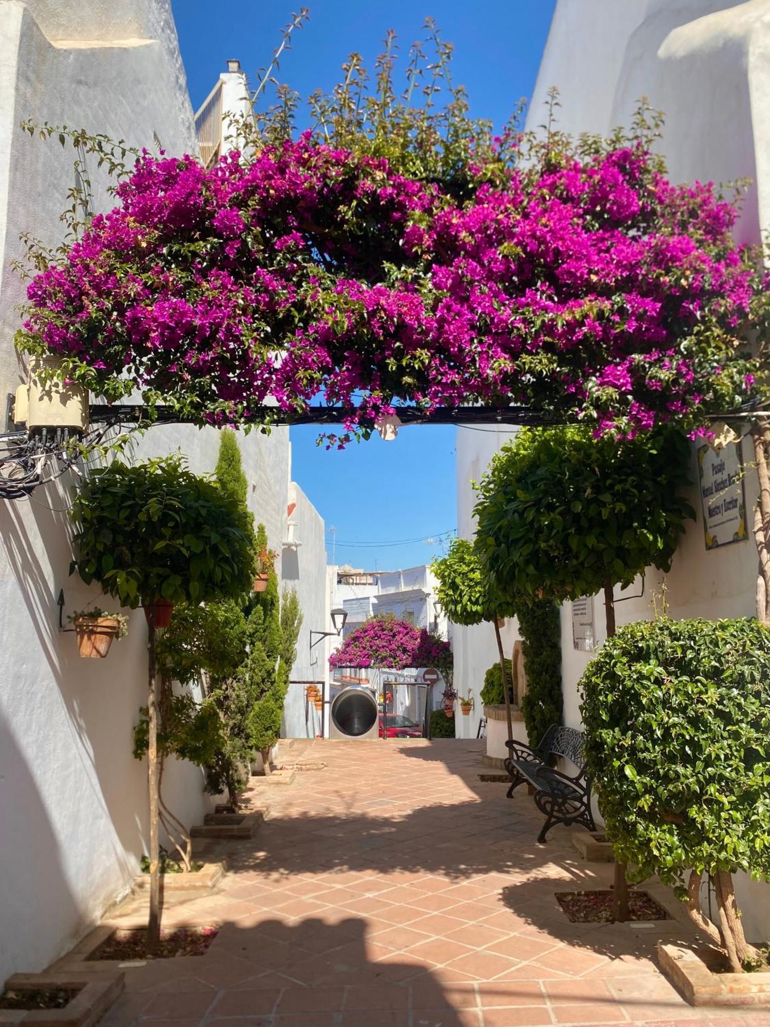 Apartamento Portada Estepona Exterior foto